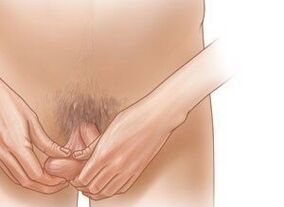 Jeling -Übungen, um den Penis zu erhöhen